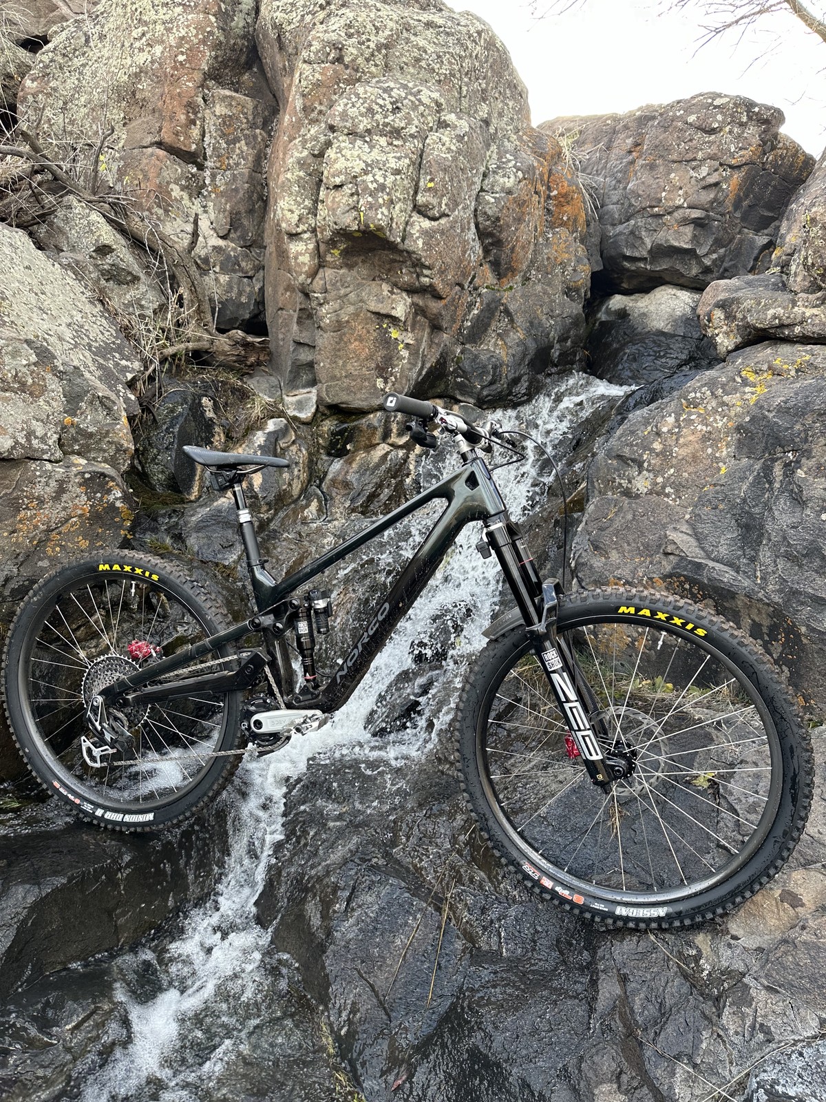 w4 Norco Sight 2024 8